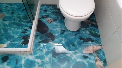 Assentamento de Piso Porcelanato Líquido 3D